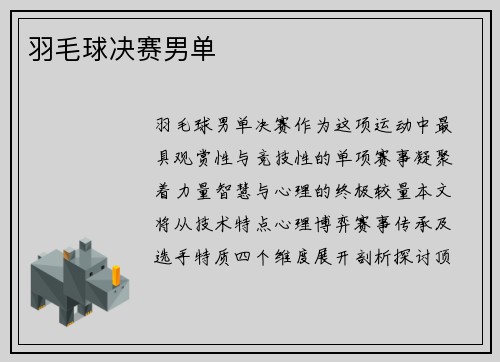 羽毛球决赛男单